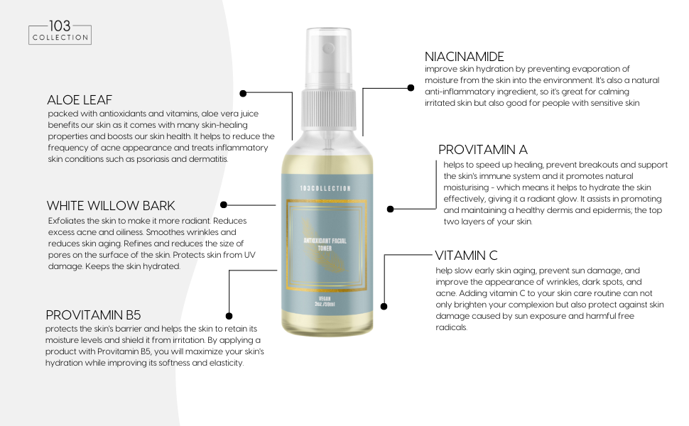 Vegan Antioxidant Facial Toner