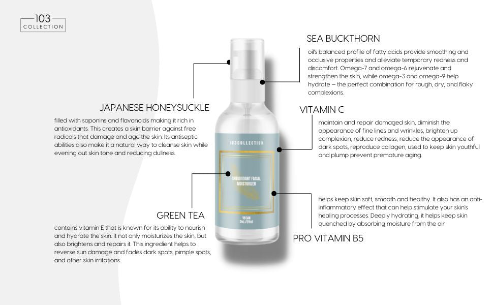 Vegan Antioxidant Facial Moisturizer