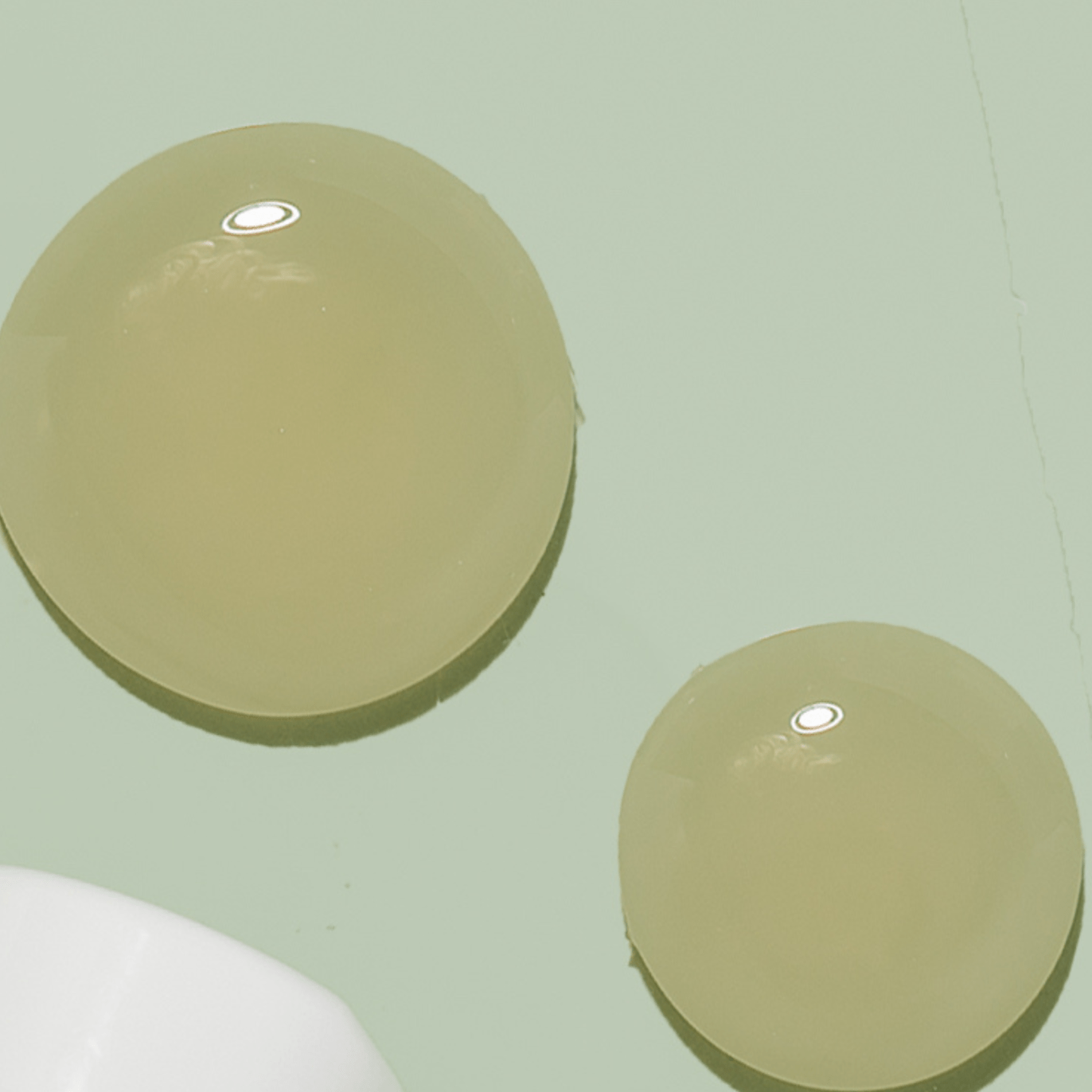 Gentle Moisturizing Seborrheic Shampoo | Flaky, Itchy Scalps - 12 Fl. Oz